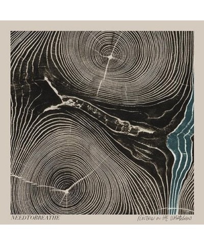 NEEDTOBREATHE RIVERS IN THE WASTELAND CD $5.87 CD