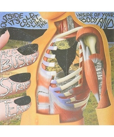 Ace Bushy Striptease OUTSIDE IT'S COLD JUST LIKE THE INSIDE OF YOUR BOD Vinyl Record $4.08 Vinyl