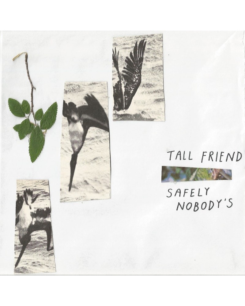 Tall Friend Safely Nobody's Vinyl Record $6.09 Vinyl